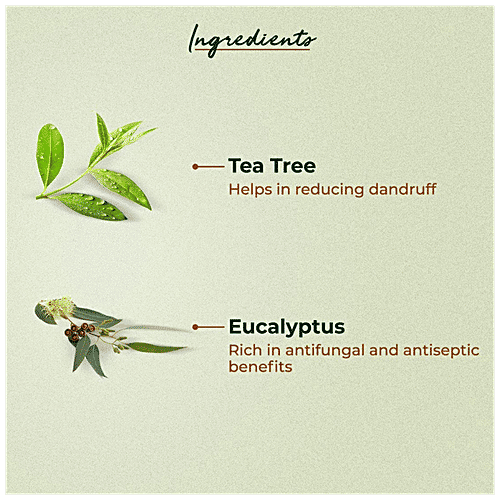 Organic Harvest Anti Dandruff Hair Oil - Organic Tea Tree & Eucalyptus Oils Infused, Parabens & Sulphate Free, 150 ml  