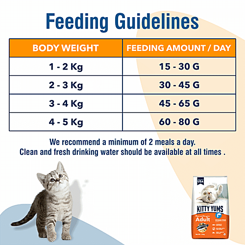 Kitty Yums Dry Cat Food - Ocean Fish Like Sardines & Mackerel, Adult, +1 Year, Healthy & Nourishing, 3 kg