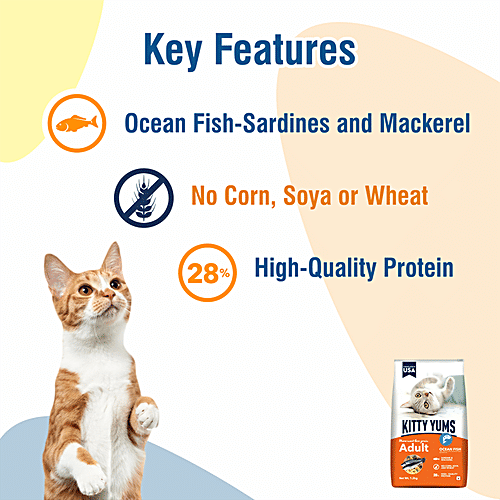 Kitty Yums Dry Cat Food - Ocean Fish Like Sardines & Mackerel, Adult, +1 Year, Healthy & Nourishing, 3 kg