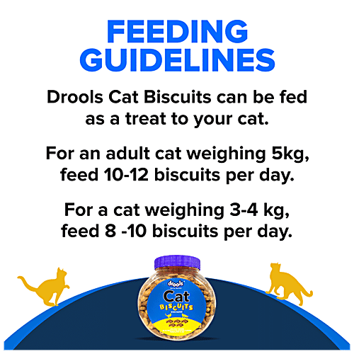 Buy Drools Cat Biscuits With Real Chicken Oven Baked, Treats, Crispy & Crunchy, Rewards For