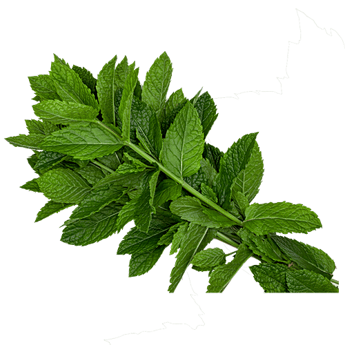 Buy fresho! Mint Leaves With Roots Rich In Medicinal Properties Online at Best Price of Rs 80
