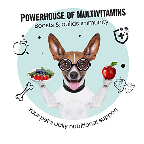 Bark Out Loud Immunity Chewstix - Multivitamins Fresh Chicken Treats, Omega & Zinc Dogs & Cats, 100 g (Pack of 18)