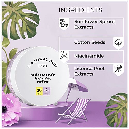 Buy The Face Shop Natural Sun Eco No Shine Powder