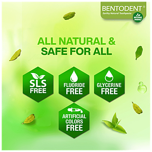Bentodent Earthy Natural Toothpaste With Bamboo Tooth Brush - Cardamom, Vegan, SLS Free, 100 g