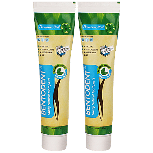 Buy Bentodent Earthy Natural Toothpaste Premium Mint, Vegan, SLS Free