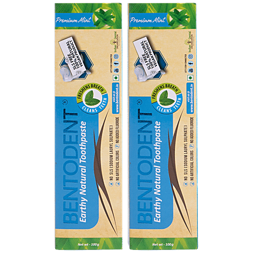 Buy Bentodent Earthy Natural Toothpaste Premium Mint, Vegan, SLS Free