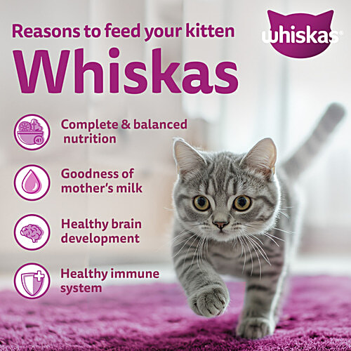Whiskas Junior Mother Cat & Kitten 2-12 Months - Dry Cat Food, Mackerel Fish Flavour, 3 kg  Complete & Balanced Nutrition, Goodness Of Mother'S Milk, Healthy Brain Development