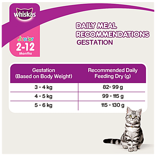 Buy Whiskas Dry Cat Food For Mother & Babycat Mackerel Flavour Online