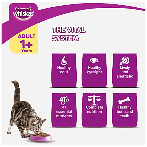 Buy Whiskas Dry Cat Food For Adult Cats Grilled Saba Flavour, 1+ Years Online at Best Price of