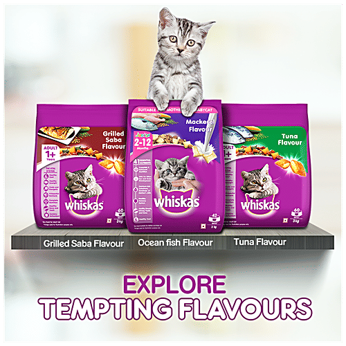 Buy Whiskas Dry Cat Food For Adult Cats Grilled Saba Flavour, 1