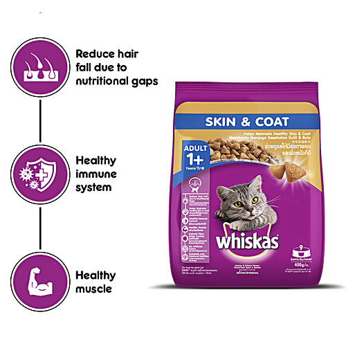 Buy Whiskas Dry Cat Food For Adult Cats For Healthy Skin & Coat, 1