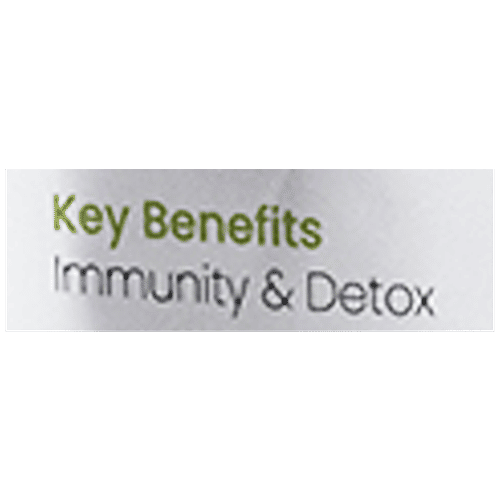 Buy Teamonk Sage Herbal Tea High In Nutrients & Antioxidants Online