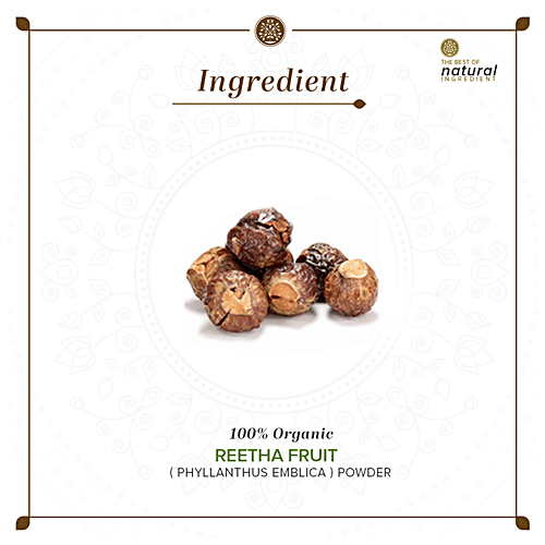 Buy Khadi Natural Organic Reetha Fruit Powder Conditioner