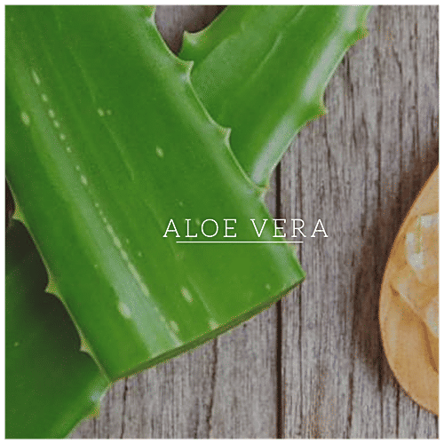 Khadi Natural Onion & Fenugreek Hair Oil - Powered Botanics, Reduces Hair-Fall, 200 ml  