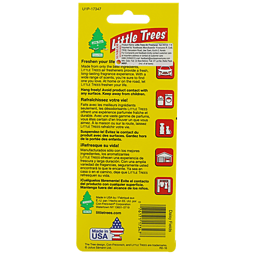 Little Trees Daisy Fields Air Freshener For Car - Long Lasting Fragrance & Scent, 30 g  