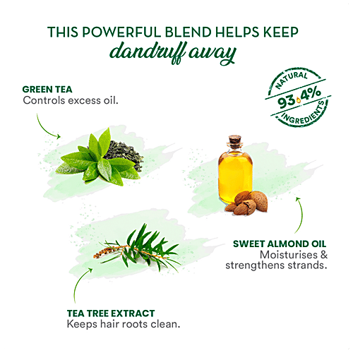 Wow Skin Science Green Tea & Tea Tree Shampoo - Clarify Scalp, Restore Hair Strength, For Dandruff-Prone Hair, 300 ml  