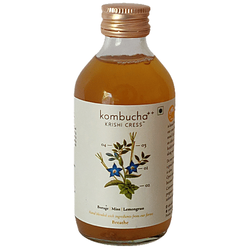 Buy Krishi Cress Breathe Kombucha Borage, Japanese Mint, Lemongrass