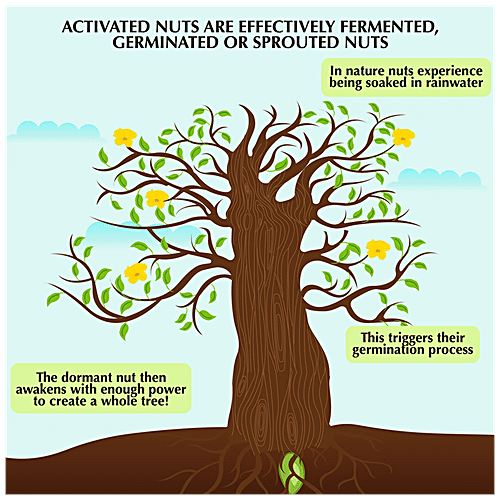 Buy Honestly Organic Activated Peanuts Mildly Salted, Crunchy, Rich