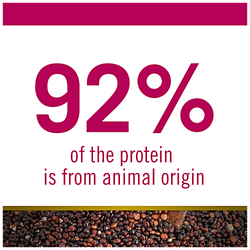 Buy FARMINA PET FOODS N&D Quinoa Dog Dry Food For Adult Digestion