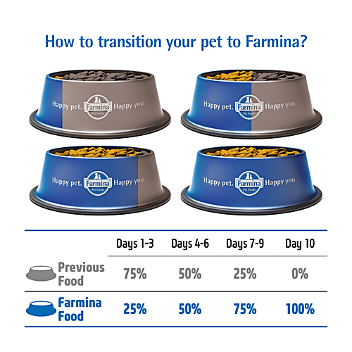 Farmina Pet Foods N&D Pumpkin Adult Mini Dog Dry Food, 800 g Pouch Lamb & Blueberry, Grain Free, Mini Breed