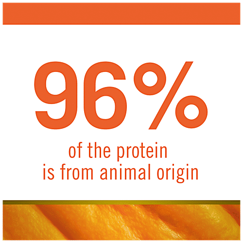 Farmina Pet Foods N&D Pumpkin Adult Mini Dog Dry Food, 800 g Pouch Lamb & Blueberry, Grain Free, Mini Breed