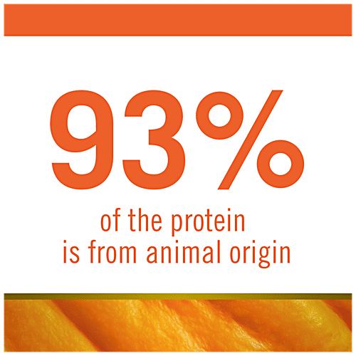 Farmina Pet Foods N&D Pumpkin Dog Dry Food For Puppy - Chicken & Pomegranate, Grain Free, Medium & Maxi Breed, 12 kg  