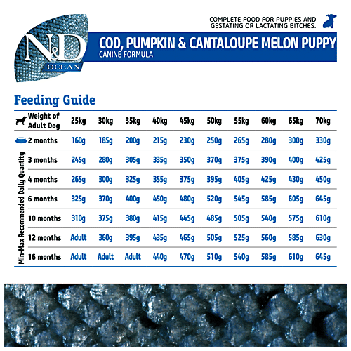 Farmina Pet Foods N&D Ocean Dog Dry Food For Puppy – COD Pumpkin & Cantaloupe Melon, Grain Free, Mini Breed, 800 g  
