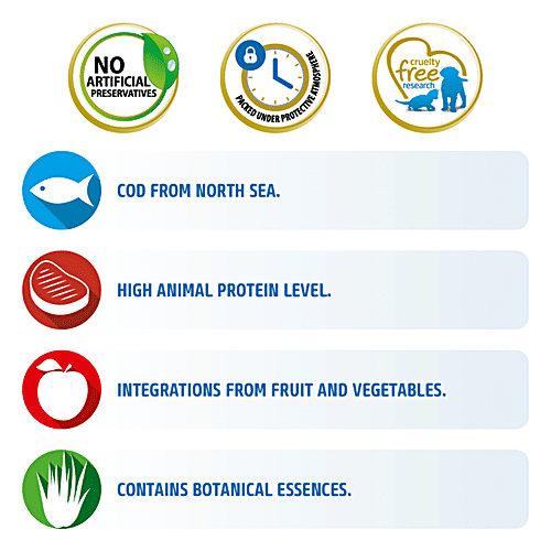 Farmina Pet Foods N&D Ocean Dog Dry Food For Puppy – COD Pumpkin & Cantaloupe Melon, Grain Free, Mini Breed, 800 g  