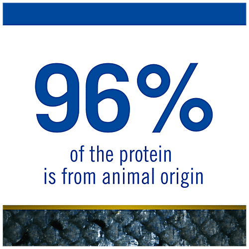 Farmina Pet Foods N&D Ocean Dog Dry Food For Puppy – COD Pumpkin & Cantaloupe Melon, Grain Free, Mini Breed, 800 g  