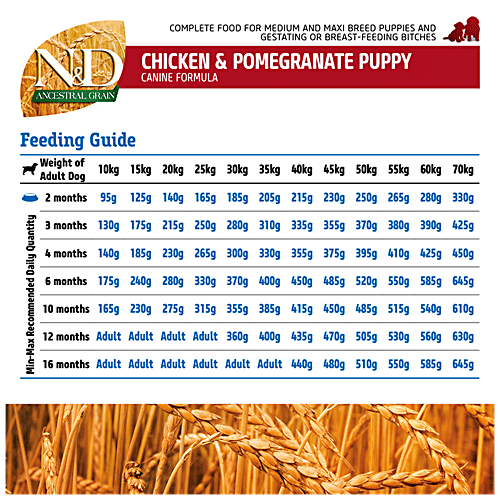 Farmina Pet Foods N&D Ancestral Grain Dog Dry Food For Puppy - Chicken & Pomegranate, Medium & Maxi Breed, 2.5 kg  