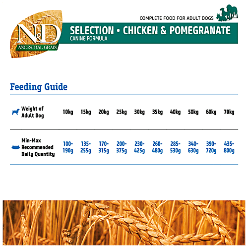 Farmina Pet Foods N&D Ancestral Grain Dog Dry Food – Chicken & Pomegranate, Selection, Adult- Medium & Maxi Breed, 15 kg (12 Kg + 3 Kg Free) 