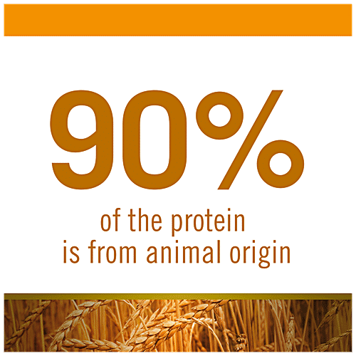 Farmina Pet Foods N&D Ancestral Grain Dog Dry Food - Chicken & Pomegranate For Senior Adult, Medium & Maxi Breed, 12 kg  