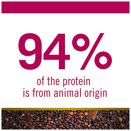 Buy FARMINA PET FOODS N&D Quinoa Cat Dry Food Skin & Coat, Grain Free