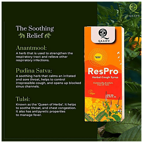 Buy Qaadu ResPro Herbal Cough Syrup Kantkari, Tulsi, Vasa, Natural