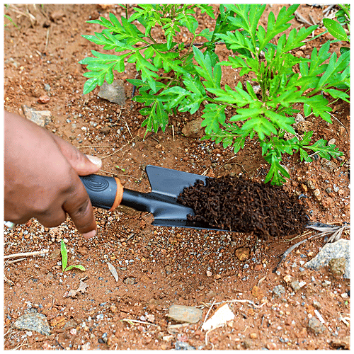 Buy NATURES PLUS Small Garden Trowel With Comfortable Grip, Anti Rust