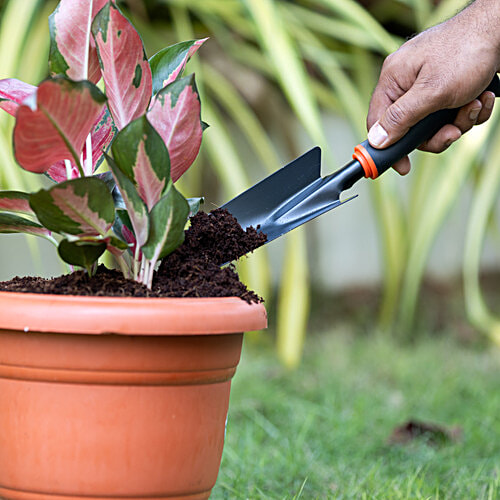 Natures Plus Small Garden Trowel - With Comfortable Grip, Anti Rust, Durable, Black, 1 pc  
