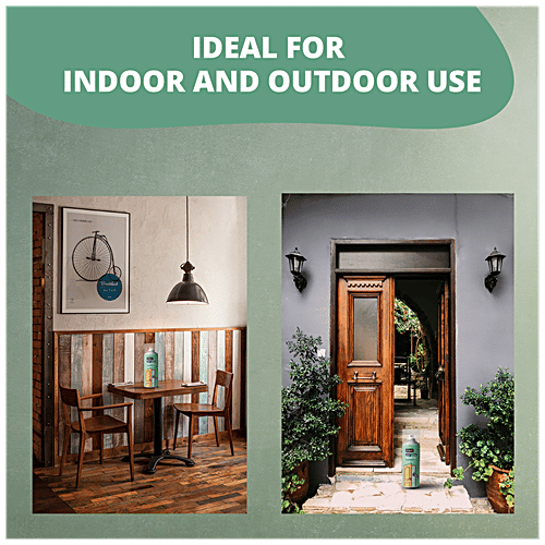 Asian Paints EzyCr8 TouchWood Wood Coating Spray - Interior & Exterior Use, Restoration, Stain Resistance, Durable, 400 ml  