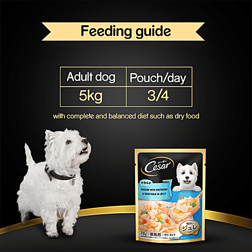 Buy Cesar Adult Wet Dog Food Sasami With Whitefish,Cheese & Vegetable