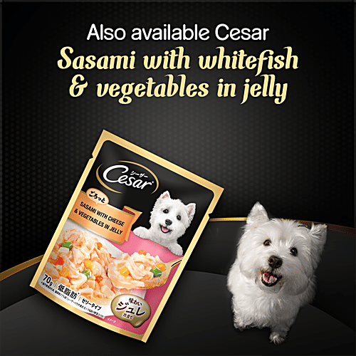 Buy Cesar Adult Wet Dog Food Sasami With Whitefish,Cheese & Vegetable