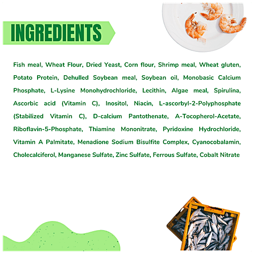 Taiyo Pluss Discovery Premium Turtle Food With Spirulina & Vitamin C - Staple Sticks For All Reptiles, 1 kg Pouch 