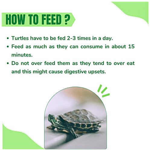 Taiyo Pluss Discovery Premium Turtle Food With Spirulina & Vitamin C - Staple Sticks For All Reptiles, 1 kg Pouch 