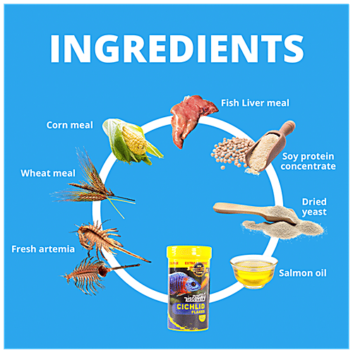 Taiyo Pluss Discovery Cichlid Flakes Fish Food - Premium, Increases Lifespan, 110 g (Extra 10% Free) 