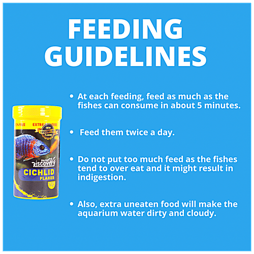 Taiyo Pluss Discovery Cichlid Flakes Fish Food - Premium, Increases Lifespan, 110 g (Extra 10% Free) 