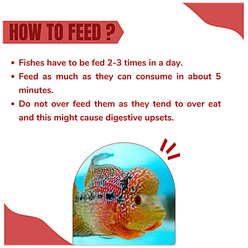 Taiyo Pluss Discovery Hi - Red Premium Flower Horn Fish Food - With More Astaxanthin, Highly Colour Enhancing Formula Increases Life Span, 220 g  Highly Colour Enhancing
Increases Life Span