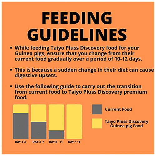 Taiyo Pluss Discovery Premium Guinea Pig Food - Sturdy Growth, Suitable For All Age Groups, 500 g  