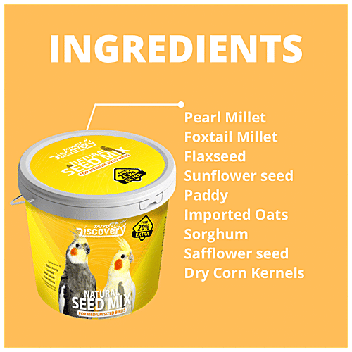 Taiyo Pluss Discovery Bird Food Natural Seed Mix - Medium Sized Birds Like Cockatiels & Caique Parrots, 1 kg (Extra 20% Free)