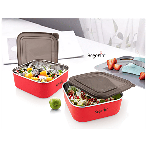 Segovia Stainless Steel Lunch Box/Food Storage/Utility Container With Lid - Microwave Safe, 2 pcs  