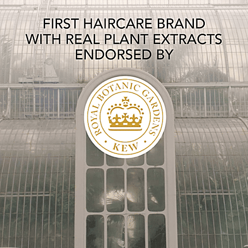 Herbal Essences Potent Aloe & Bamboo Shampoo - For Strength, Free Of Sulphates, Silicones & Paraben, 400 ml  