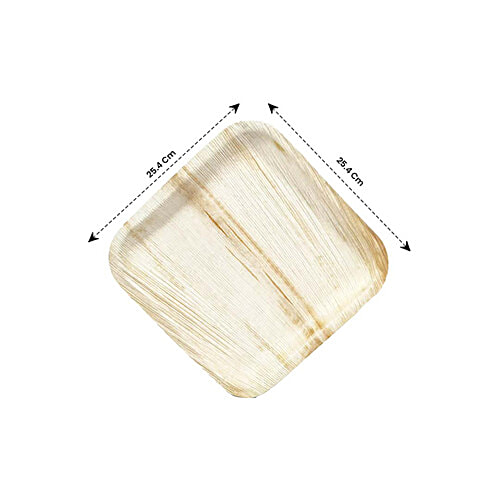 Envome 10'' Square Areca Leaf disposable Plate - Eco-Friendly, Lightweight, Leakproof, Chemical Free, 6 pcs