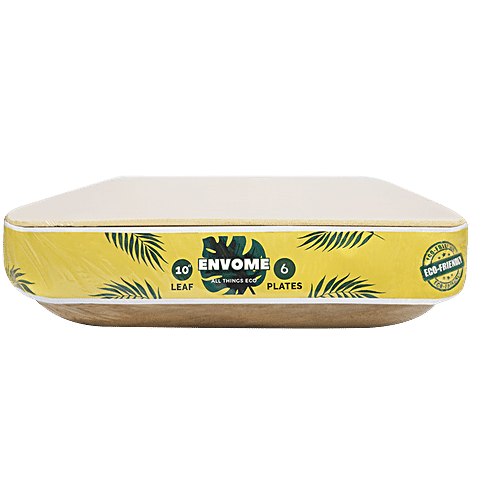 Envome 10'' Square Areca Leaf disposable Plate - Eco-Friendly, Lightweight, Leakproof, Chemical Free, 6 pcs